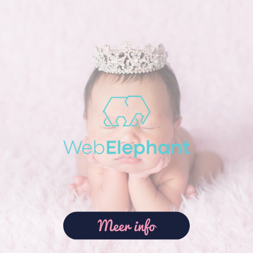 Webelephant marketing